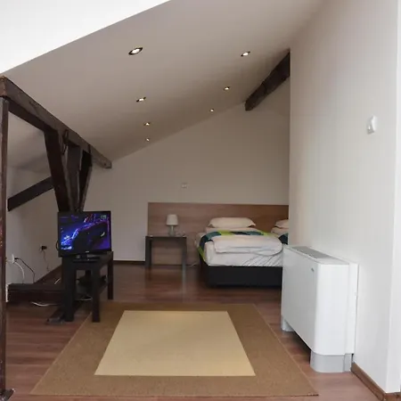 Guest house Lion 2*