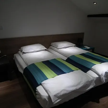 Lion Guest house 2*